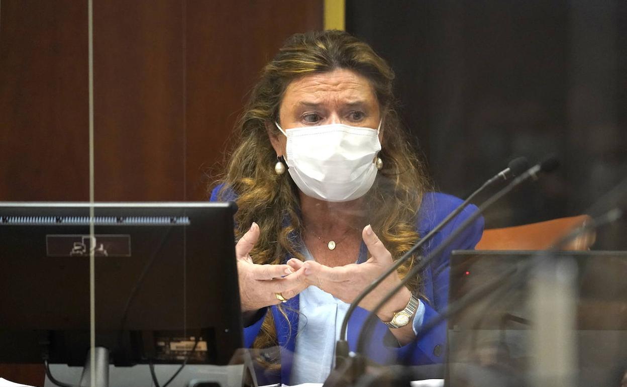 coronavirus Sagardui no convence a la oposición con sus explicaciones